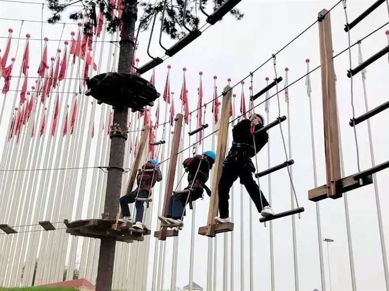 除险精神营