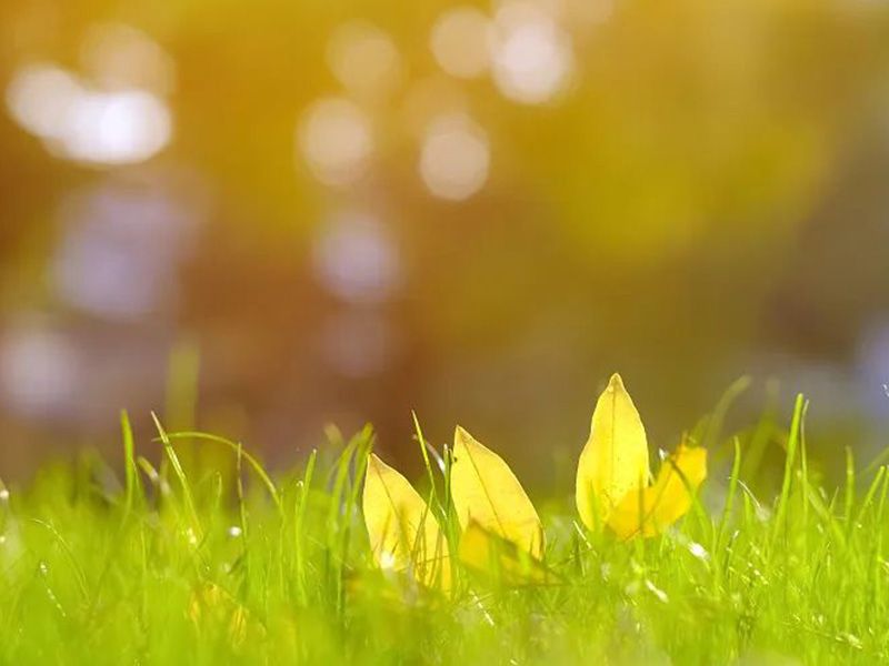 二十四节气|今日立秋