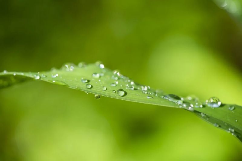 二十四节气|今日白露
